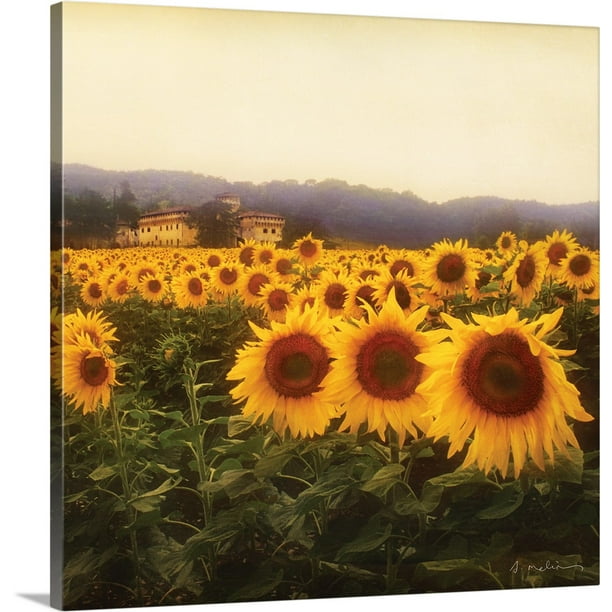 Great BIG Canvas "Tuscan Sunflowers" Canvas Wall Art 30x30