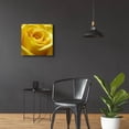 thumbnail image 4 of Epic Art 'Yellow Rose' by Photoinc Studio, Acrylic Glass Wall Art, 24"x24", 4 of 9