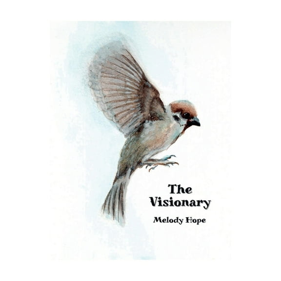 Visionary The Visionary, Book 1, (Paperback)