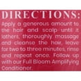 thumbnail image 4 of Canvas Beauty Full Bloom Amplifying Shampoo, 8 oz., All Hair Type, Volumizing, 4 of 7