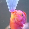 thumbnail image 5 of Mangeoire à Poissons d'Aquarium Fuselée Entonnoir Rouge pour vers Mangeoire à Poissons Gobelet d'Alimentation Outil Mangeoire d'Aquarium Trémie Aspirateur, 5 of 5
