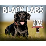 2022 Black Labrador Dog Wall Calendar 16-Month X-Large Size 14x22, Black Lab Calendar by The KING Company-Monster Calendars