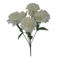 Carnation Bush Wh