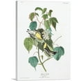 thumbnail image 1 of ARTCANVAS Hemlock Warbler Canvas Art Print by John James Audubon - Size: 40" x 26" (0.75" Deep), 1 of 9
