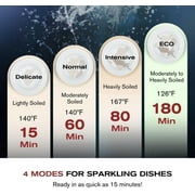 FOTILE SD2F-P5L 3-In-1 In-Sink Dishwasher