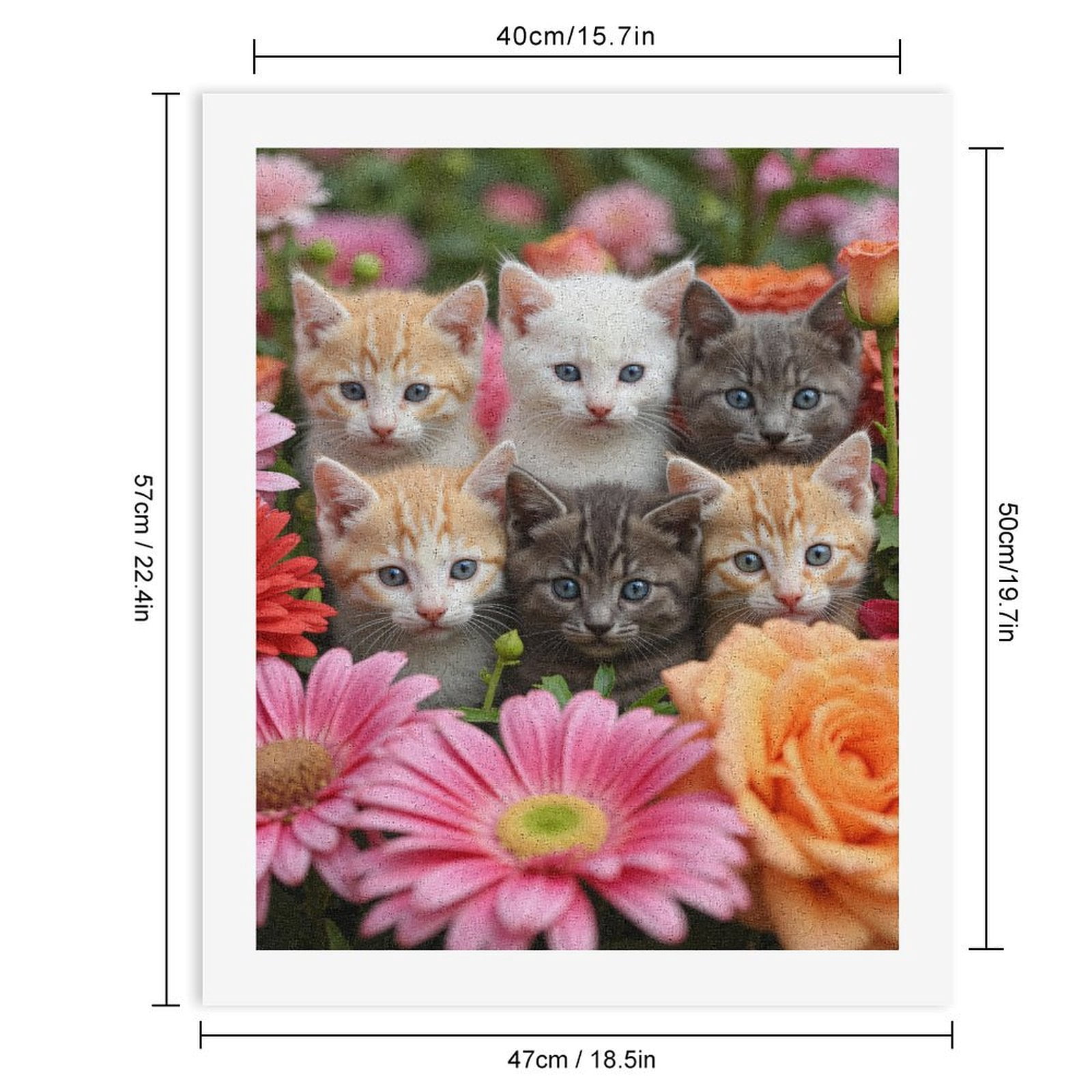 Paint By Numbers Kit for Adults Beginner - DIY Adorable Kittens Colorful Floral Scene Canvas Painting Kits for Adults, Frameless Paint By Number for Adults for Home Wall Decor 16x20 Inch