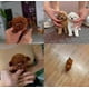 thumbnail image 5 of 2025 New Robot Dog for Adults, AI Robotic Dog, Nicoo - My Realistic Robot Puppy That Acts Like a Real Puppy - Walking, Barking, Tail Wagging, 5 of 5