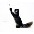thumbnail image 4 of Imperial Cat 3010 Cat Dancer Cat n Around Wands, 4 of 11