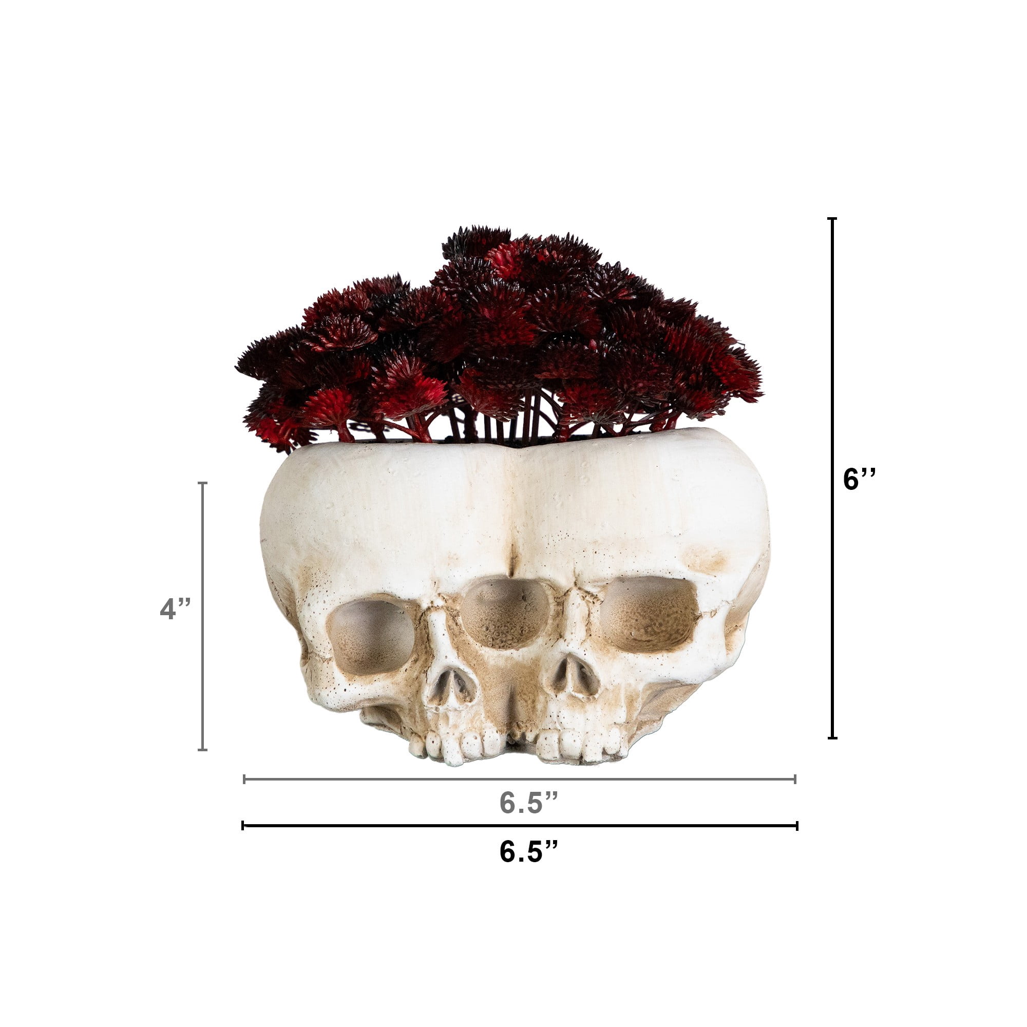 6in. Artificial Halloween Succulent Plant in Double Skull Planter