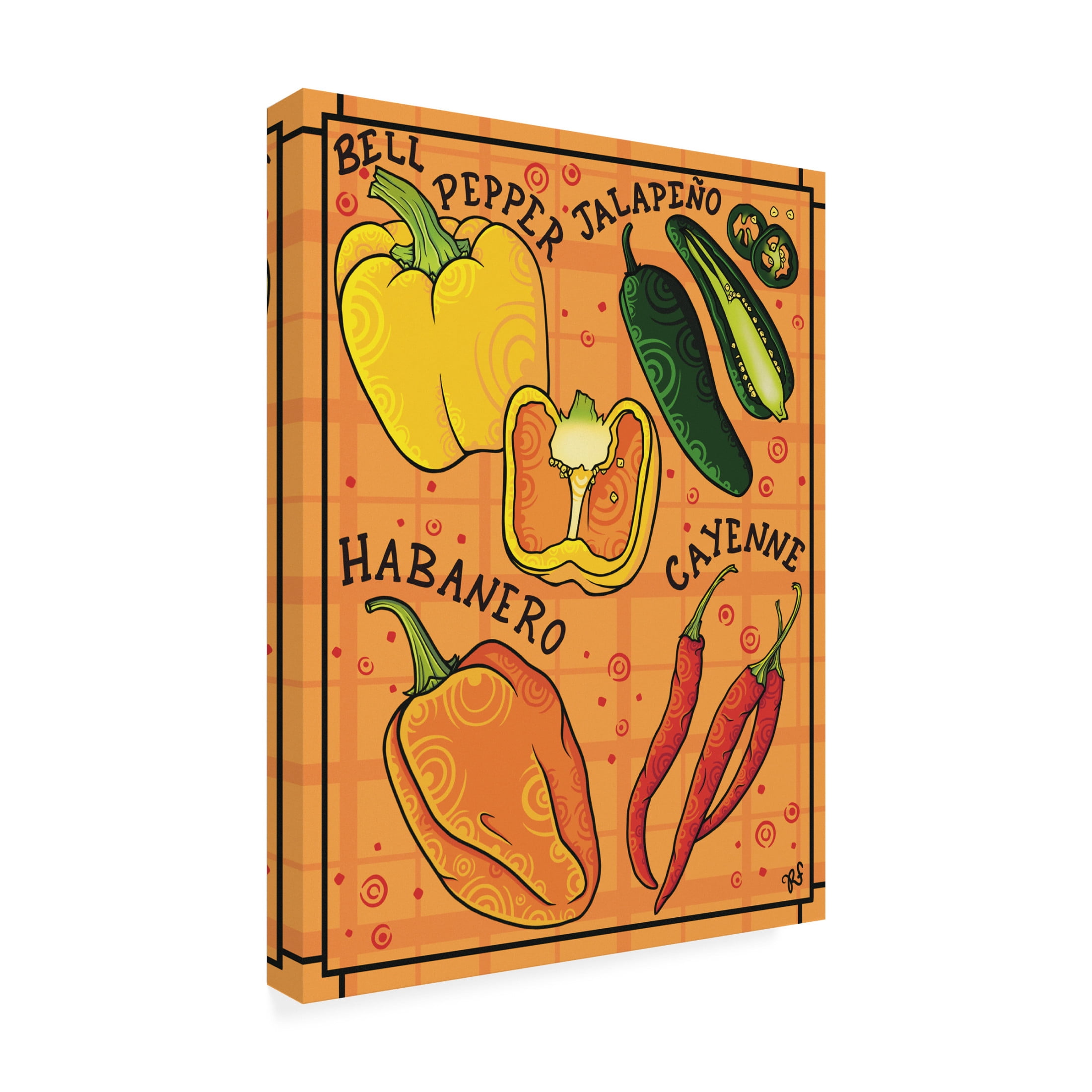 Canvas Wall Art - Rachel Feirman 'Spice of Life' Wall Art for Living Room, Bedroom, or Office Décor by Trademark Fine Art - 35 x 47 Inches