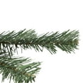 thumbnail image 5 of Northlight Medium Blackwater Fir Artificial Christmas Tree - 2' - Unlit, 5 of 7
