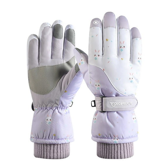 IROINNID Touchscreen Gloves for Women Thermal Gloves Gloves Winter Outdoor Windproof Ski Riding Touch-Screen Plus Velvet Double Layer Warm Gloves,Purple