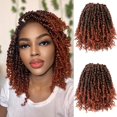 thumbnail image 1 of Umylar de pelo de ganchillo Passion Twist, 25 cm, 8 paquetes para mujeres negras, 1 of 6