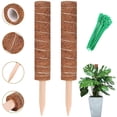 thumbnail image 2 of Moss Pole Moss Stick Stackable Moss Stick Moss Pole For Cheese Plant Moss Stick With 20 Cable Ties 2 Pcs Moss Pole For Cheese Plant Stackable Moss Stick With 20 Cable Ties For, 2 of 8