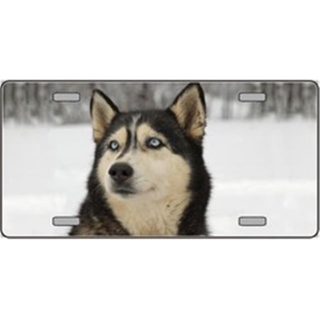 Husky Dog Pet Novelty License Plates- Full Color Photography License Plates
