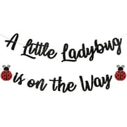 Ladybug Baby Shower Decorations - A Little Ladybug is on the Way Banner, Ladybug Birthday Decorations, Ladybug Themed Baby Shower Gender Reveal Party Decorations Black Glitter, BH222