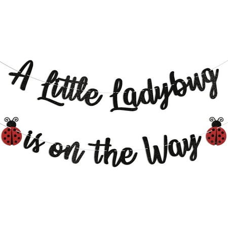 Ladybug Baby Shower Decorations - A Little Ladybug is on the Way Banner, Ladybug Birthday Decorations, Ladybug Themed Baby Shower Gender Reveal Party Decorations Black Glitter, BH222