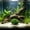 E, variant on Cififendec Artificial Aquarium Plants, 7.87"×7.09", Non-Toxic Fake Seaweed Ornaments, Realistic Plastic Water Grass Decor for Fish Tank Landscaping
