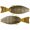 GRN PMP PRL G F, variant on DEPS BULL FLAT CREATURE BAIT - 5.8" - 4PK