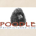 thumbnail image 4 of CafePress - Black Or Chocolate Poodle Tote Bag - Unisex Canvas Tote Bag, Beige, 1-Piece, 4 of 9