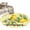 Yellow, variant on Yellow Lemon 2'x6' Runner Rugs for Hallway Kitchen Bedside Non Slip Washable, Summer Farmhouse Fruits Birds Leaves Plaid Entryway Rug Runners with Rubber Backing, Long Carpet Runner for Laundry Room