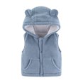 thumbnail image 2 of Lilgiuy Baby Boys Girls Fleece Vest Coat Autumn Casual Solid Color Sleeveless Button Hoodie Jacket with Pockets Blue, 2 of 5
