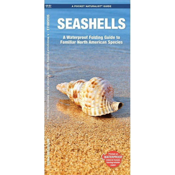 Wildlife and Nature Identification: Seashells : A Waterproof Folding Guide to Familiar North American Species (Other)
