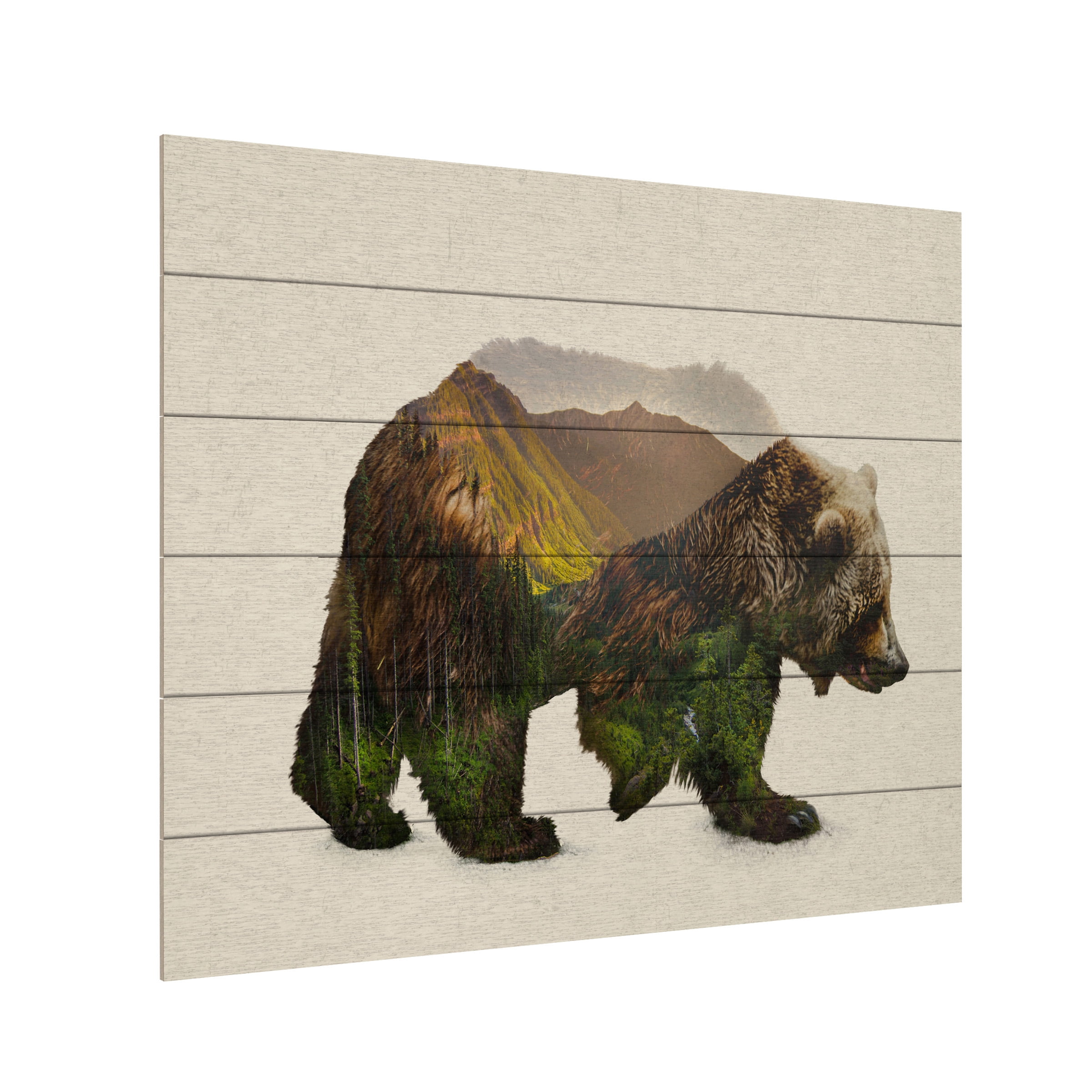 Davies Babies 'North American Brown Bear' Wood Slat Art 18x22
