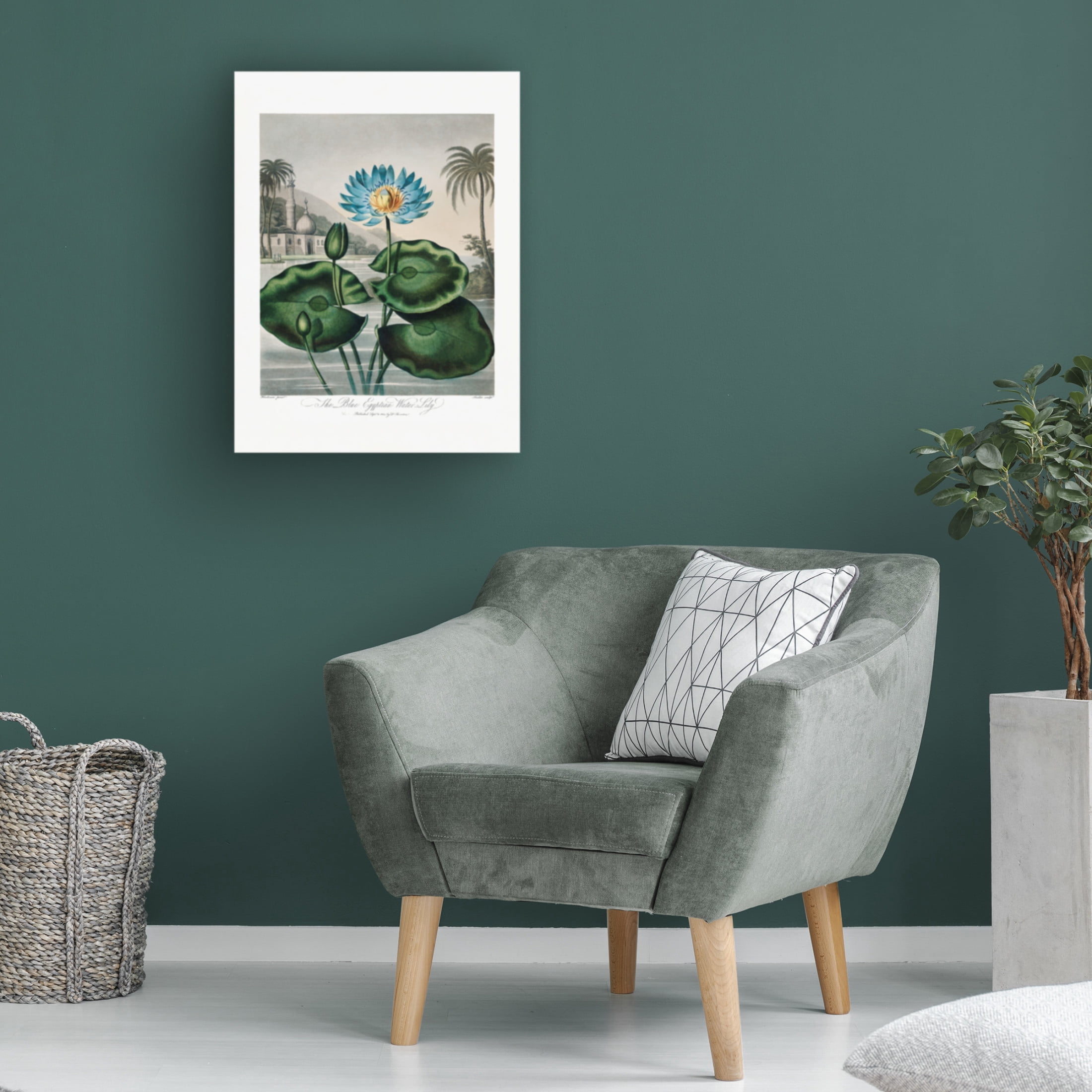 Trademark Fine Art Pictufy The Blue Egyptian Water Lily from The Temple of Flora 1807 Canvas Wall Art
