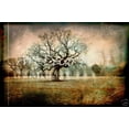 thumbnail image 1 of The March - CANVAS OR WALL ART PRINT, 1 of 1