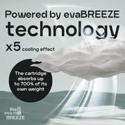 Evapolar evaSMART Personal Portable Air Cooler, Evaporative Mini Air Cooler, Portable Air Conditioner, Humidifier, Alexa Support and Mobile App, USB Connectivity and LED Light, 1300 ml