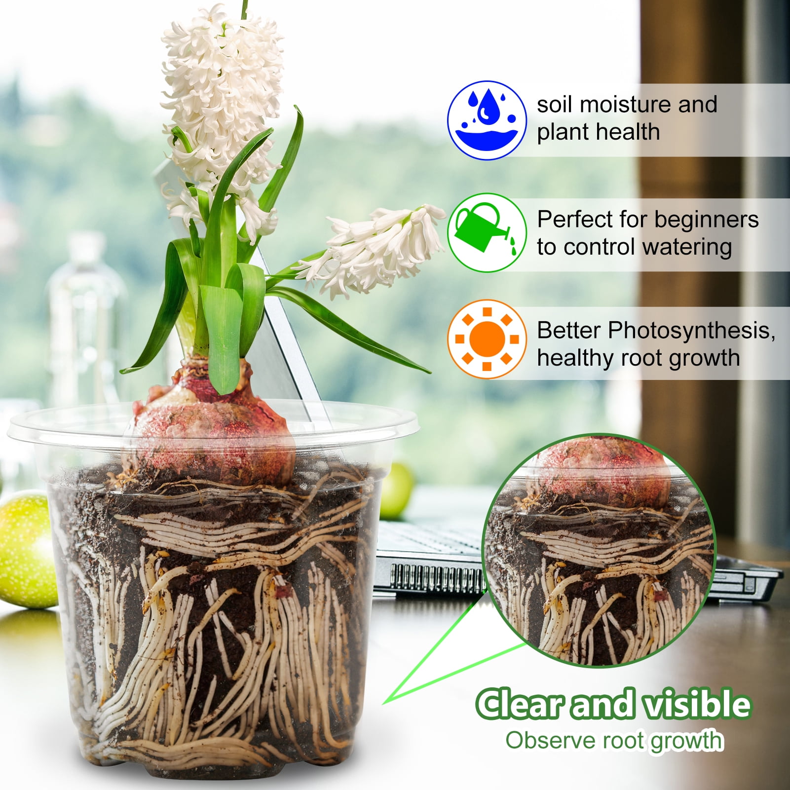 Fabulas Clear Nursery Pots Variety Pack, 32 Pack 5/4/3.5 inch Seedling Pot, Reinforced Plastic Planting Pot, Seed Starting Pot with Drainage Holes for Plants