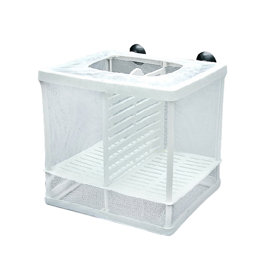 Isolation Mesh Box Suction Cup Design Fish Breeding Incubator Net ...
