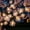 C, variant on BBilaBu Fiber Optic Flower String Lights Battery Operated,LED Flower Garland Lights,Fairy Lights,for Room Table Wedding Christmas Easter Decor 236.2in