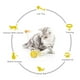 thumbnail image 3 of Gato Tumbler juguete interactivo juguete bola gato persiguiendo Amarillo Gloria balanceo kitty swing ball, 3 of 9