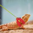 thumbnail image 2 of ORUYROP Lizards Leash Bearded Dragon Adjustable Small Reptile Animals Harness 3 Size Soft Leather Harness Lizards Leash with Wing for Small Medium and Large Reptile Animals (Red (Color Rope)), 2 of 4