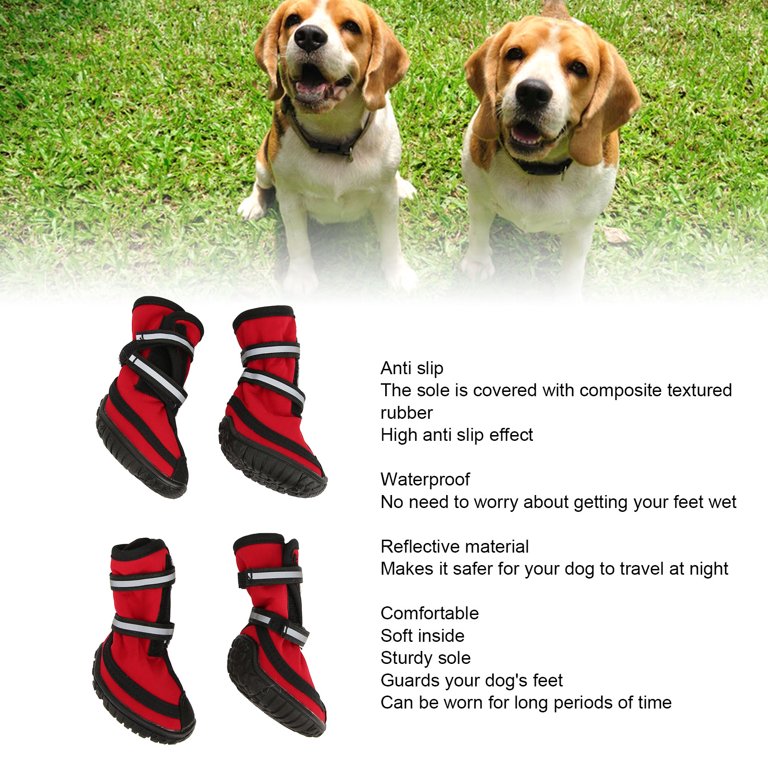 Schoenen / Sparkpaws Official | The Unleashed Company