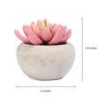 thumbnail image 4 of Mainstays 3.35" Artificial Succulent Plant in Cement Pot, Pink Color, 4 of 6