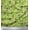 Light Green, variant on Soimoi Blue Cotton Duck Fabric Cage & Humming Bird Printed Craft Fabric by the Yard 42 Inch Wide