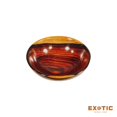 thumbnail image 2 of Cocobolo Exotic Hardwood Bowl Turning Wood Blank - 10" x 10" x 2" (1 Piece) - Elevate your Woodworking Projects with Expertly Designed Wood Bowl Blanks for Turning, 2 of 5