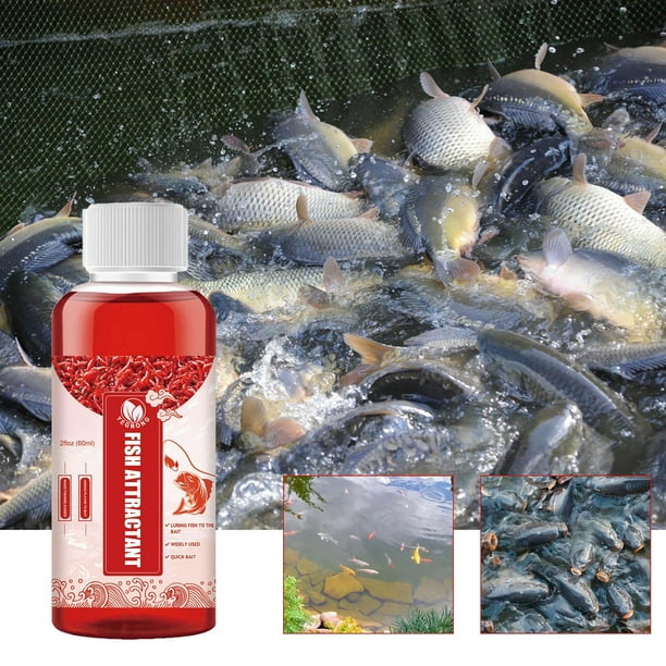LSLJS Red Worm Liquid Bait, Fish Scent Bait Fish Additive, Concentrated  Fishing Lures Baits, Fish Bait Attractant Enhancer for Water Water Trout  60Ml, A Attractant on Clearance 