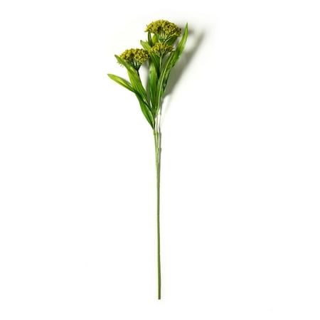 UPC: 0191518183689 | Green Queen Anne s Lace Stem by Ashland®