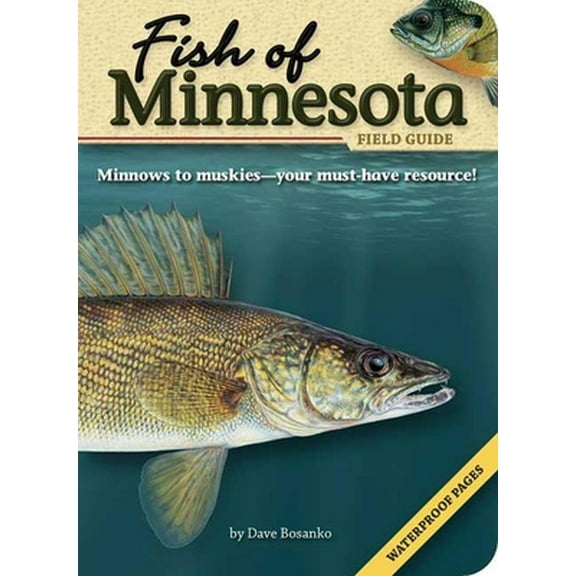 Pre-Owned Fish of Minnesota Field Guide (Paperback) 1591931924 9781591931928