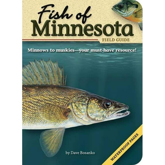 Pre-Owned Fish Identification Guides: Fish of Minnesota Field Guide (Paperback)