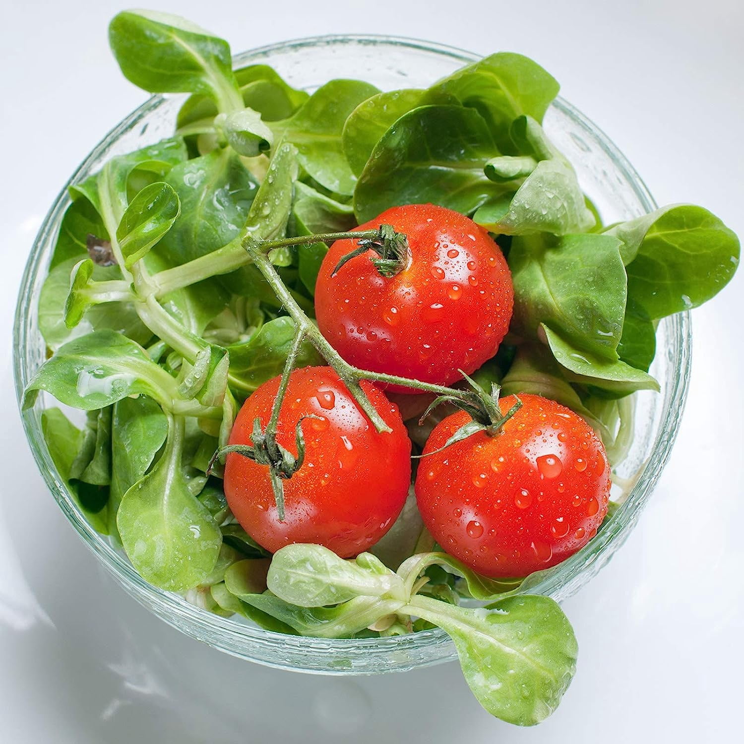 Mountain Valley Seed Company Salad & Vegetable Plant Seeds