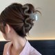 thumbnail image 2 of Pinza de pelo grande de 13cm para pinzas gruesas para el pelo, pinzas de horquilla de café transparentes y rizadas para niñas, accesorios coreanos para cola de caballo para mujeres, 2 of 5