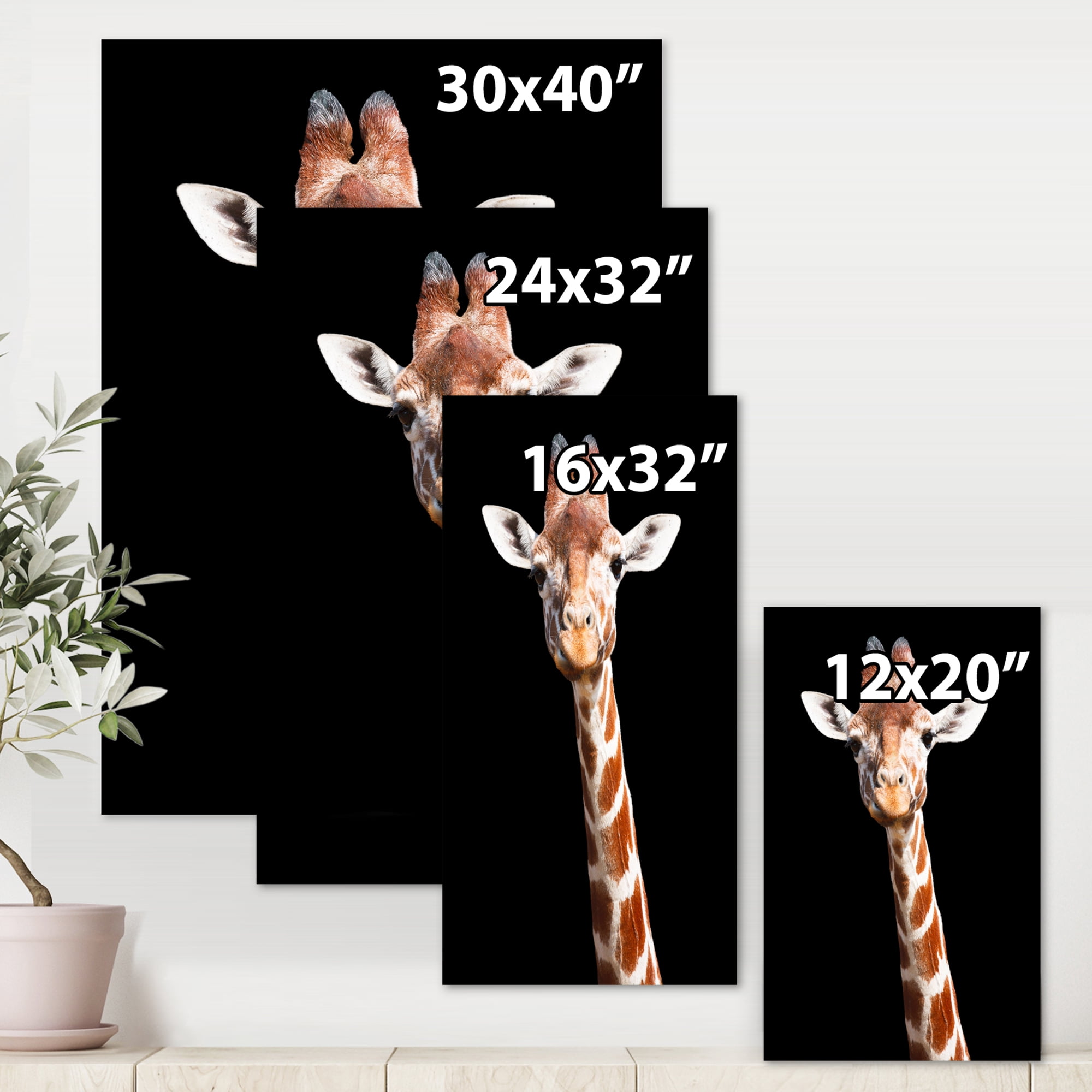 Designart ' Close Up Portrait Of A Giraffe On Black V ' Farmhouse Canvas Wall Art Print