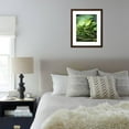 thumbnail image 5 of Betel Leaves Spice Plant from IndiaAsia, Botanical Framed Art Print Wall Art Sold by Art.Com, 5 of 5