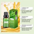 thumbnail image 4 of Fiudx Acetato Corporal, Solución Adelgazante E Ingredientes Naturales, Aroma Relajante para Masajes, Uso Diario Versátil, Moldea Curvas y Mejora La Vitalidad, Ideal para Mujeres Entusiastas Del Fitne, 4 of 7