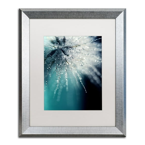 Trademark Fine Art "Morning Sonata" Canvas Art by Beata Czyzowska Young White Matte, Silver Frame
